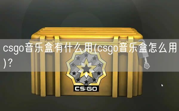 csgo音乐盒有什么用(csgo音乐盒怎么用)？ 